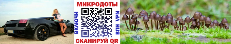 наркотики  Сафоново  Галлюциногенные грибы мухоморы 