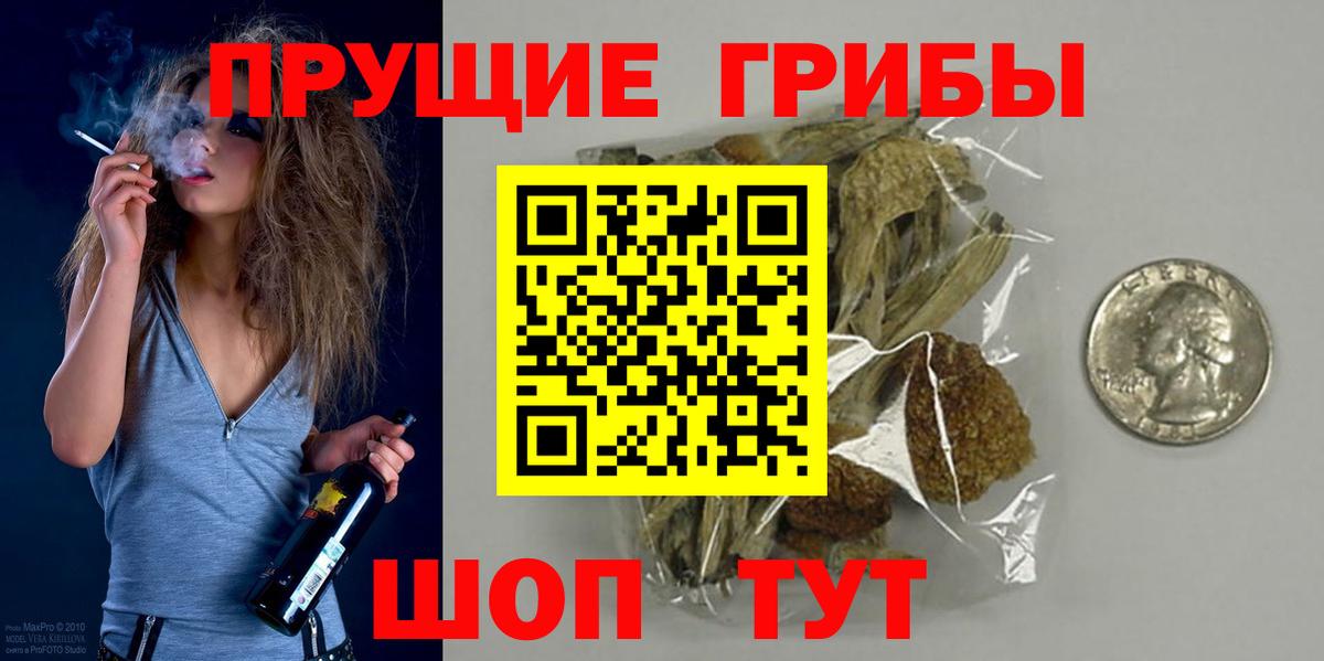 Псилоцибиновые грибы GOLDEN TEACHER  закладки  Сафоново  Вход с VPN 